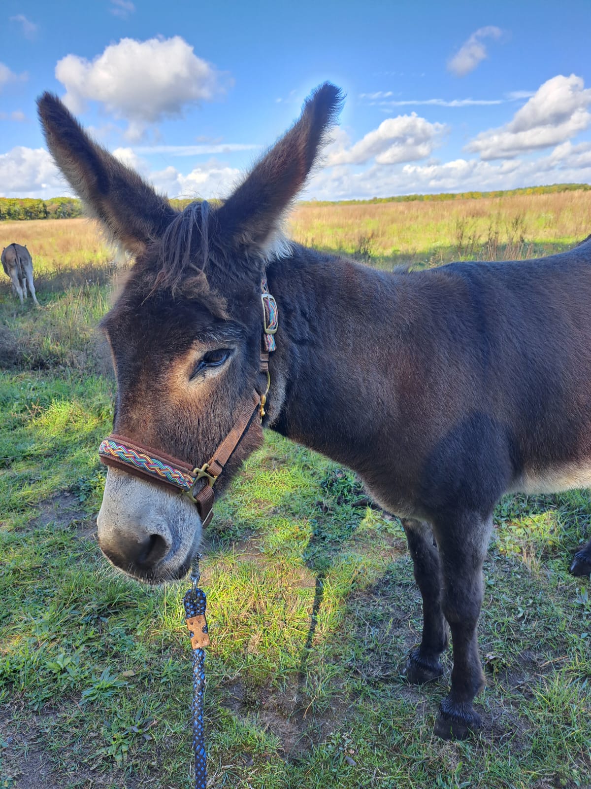 WhatsApp Image 2025 11 28 at 13.28.23