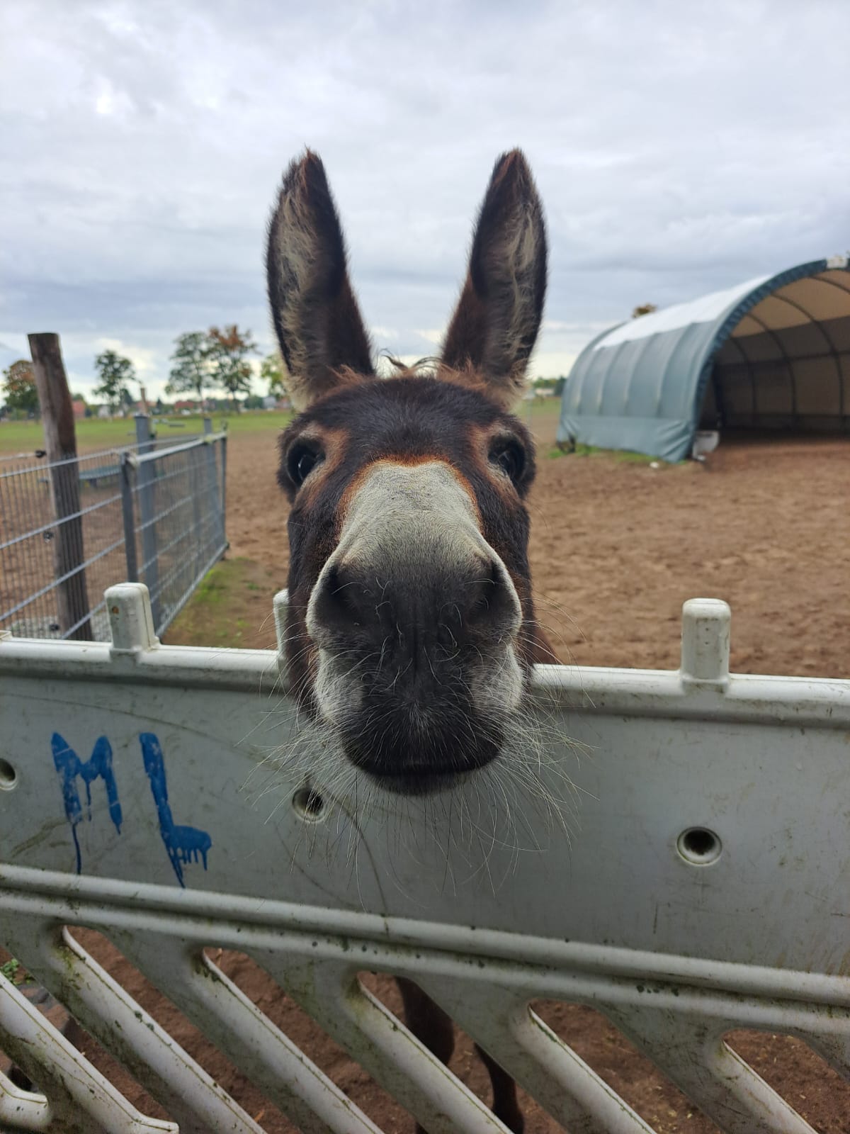 WhatsApp Image 2025 11 28 at 13.28.23 2