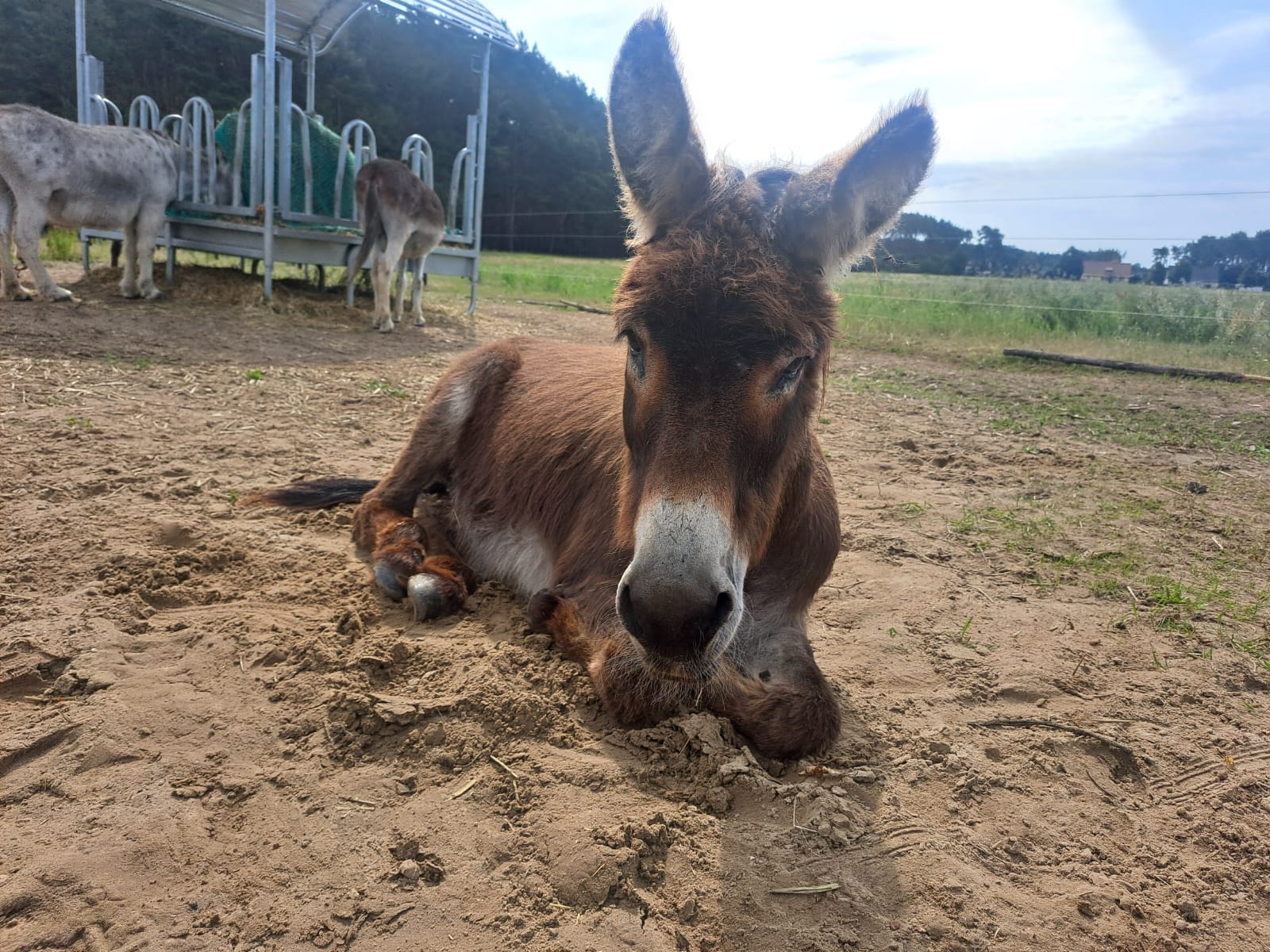 WhatsApp Image 2025 11 28 at 13.28.24