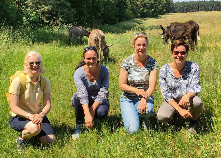 Eselwanderung - Gruppentour - Eselfreunde im Havelland e. V. bei Nauen, Brandenburg