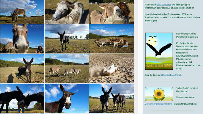 Esel-Foto-Galerie Esel-Foto-Galerie