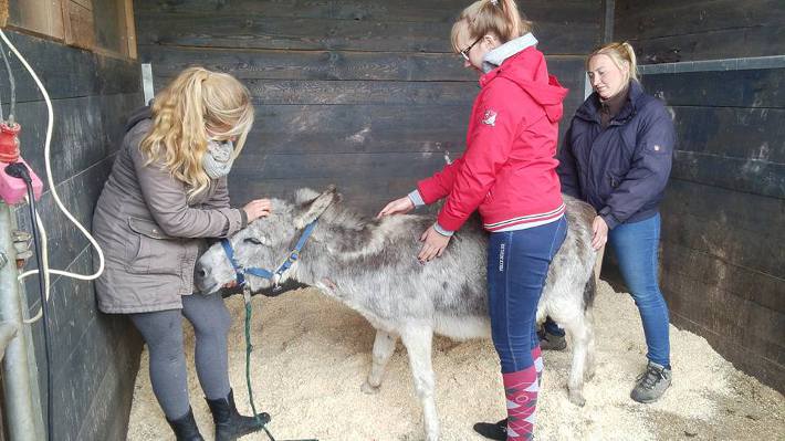 Herbie wird vorsichtig abgelegt