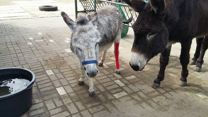 Genesungswünsche nach der OP