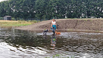 Angela und die Hunde haben Spaß