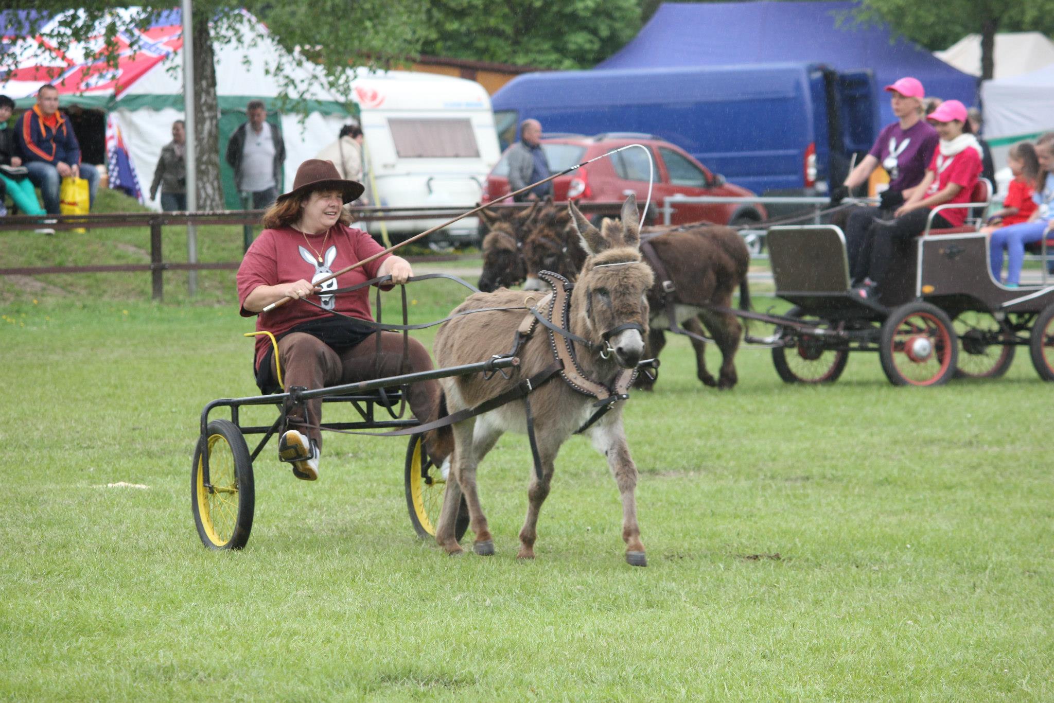 Sir Henry fröhlich vor dem Sulky Sir Henry fröhlich vor dem Sulky