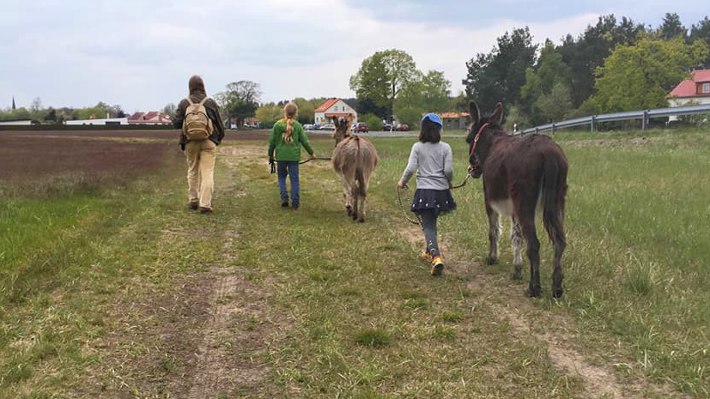 Eselpraxis - wandern mit den Eseln. Eselpraxis - wandern mit den Eseln.