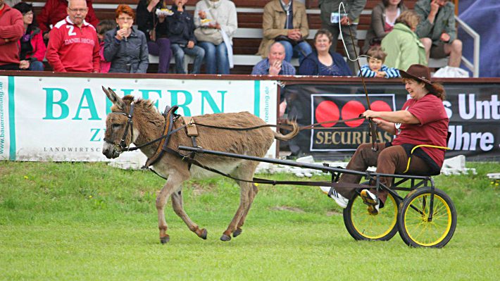 Sir Henry und Christine haben viel Spaß, wenn sie flott unterwegs sind. Sir Henry und Christine haben viel Spaß, wenn sie flott unterwegs sind.