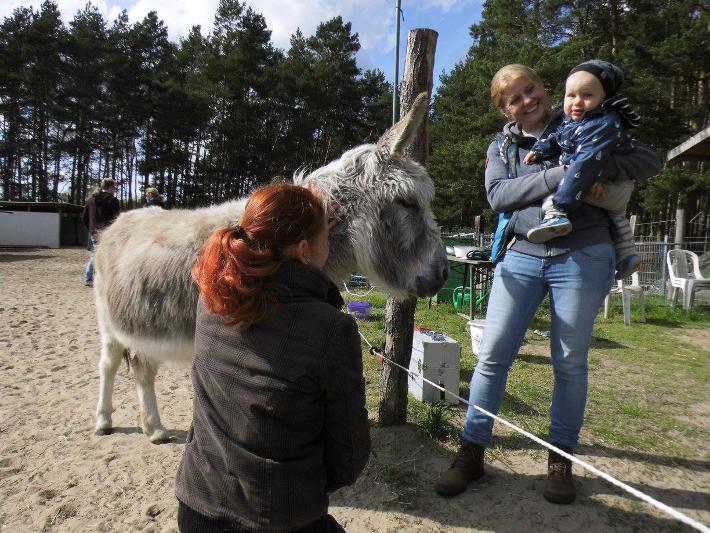 Familie bei den Eseln