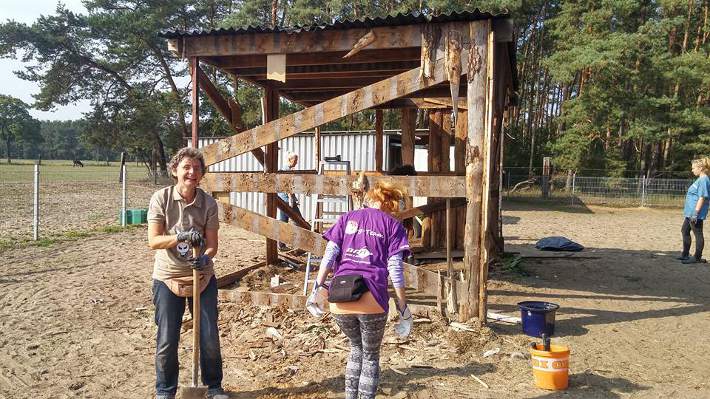 Die Eselfreundinnen Dörte und Anja Die Eselfreundinnen Dörte und Anja