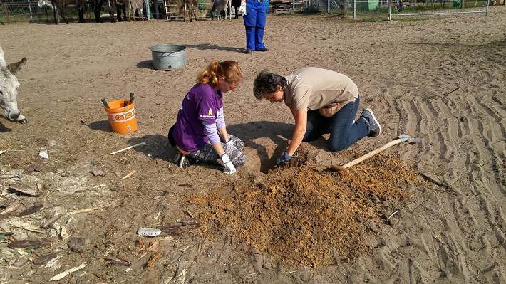 Wo ist der Geldtopf? Wo ist der Geldtopf?