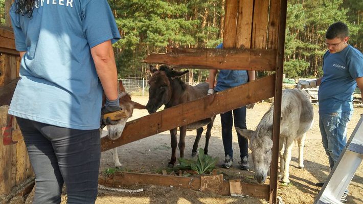 Hey, halt, hallo, was soll das? Hey, halt, hallo, was soll das?