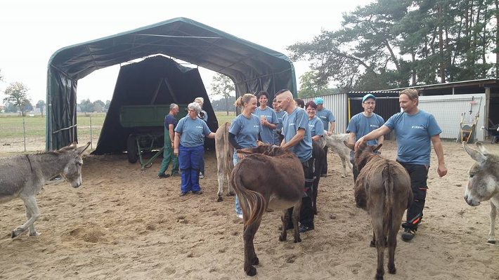 Die Esel bedanken sich bei unseren Zalando-Helfern. Die Esel bedanken sich bei unseren Zalando-Helfern.