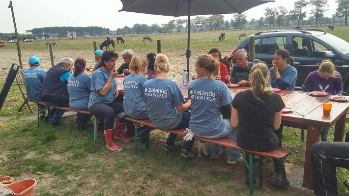 Unsere tolle Zalando-Truppe Unsere tolle Zalando-Truppe