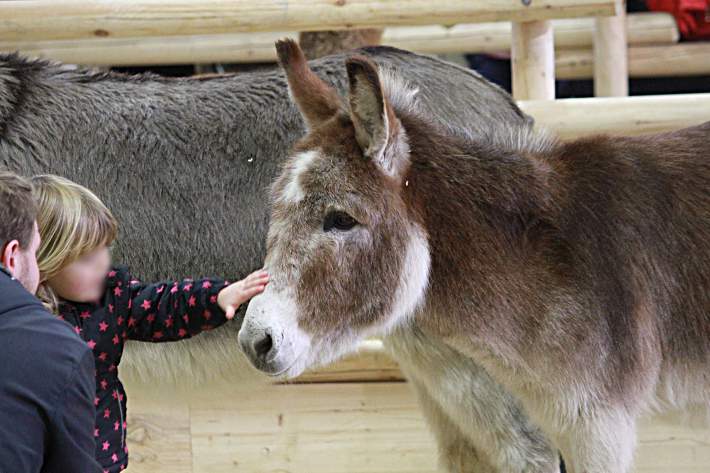 Interspezielle Kontakte Interspezielle Kontakte