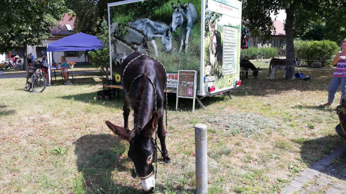 campertreffen 2018 paaren 04