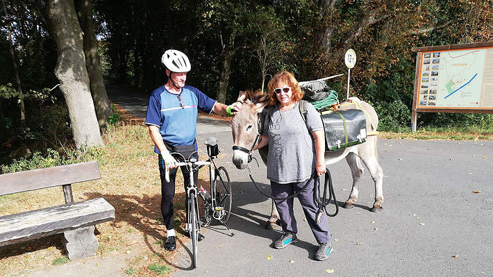 Drahtesel und Langohr - Begegnung. Drahtesel und Langohr - Begegnung.