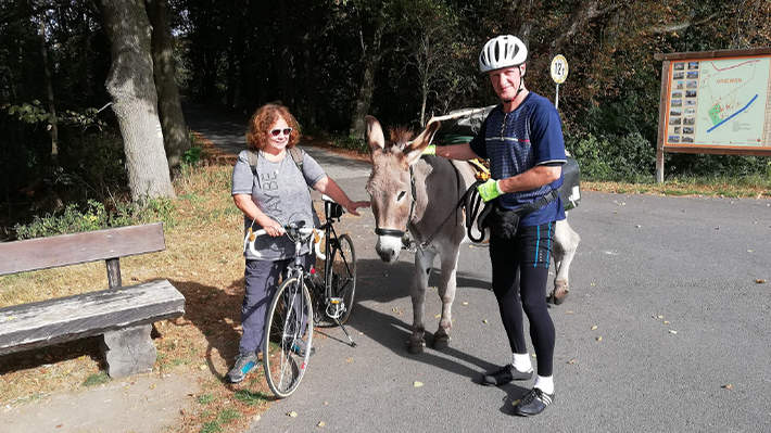 Drahtesel und Langohr - Begegnung. Drahtesel und Langohr - Begegnung.
