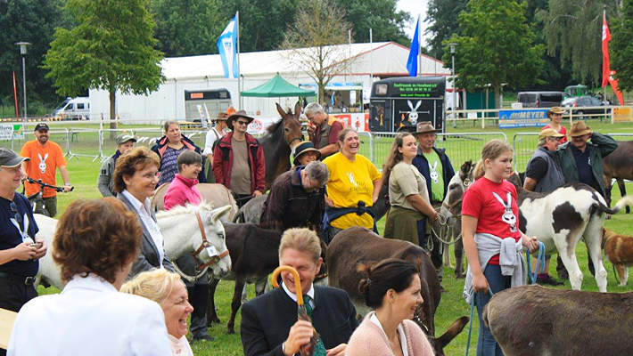 Beim Gottesdienst mit Eselsegnung, Eselfreunde im Havelland e. V., Brandenburg Beim Gottesdienst mit Eselsegnung, Eselfreunde im Havelland e. V., Brandenburg