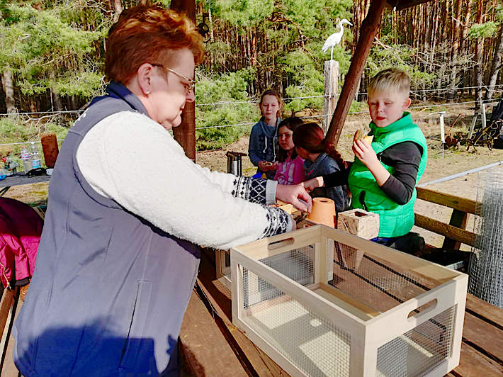 Basteln für die Insekten beim Eselfreunde im Havelland e. V. in Paaren - Brandenburg Basteln für die Insekten beim Eselfreunde im Havelland e. V. in Paaren - Brandenburg