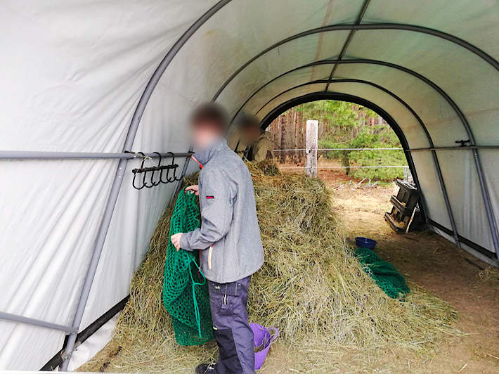 Tagespraktikum beim Eselfreunde im Havelland e. V. in Paaren - Brandenburg Tagespraktikum beim Eselfreunde im Havelland e. V. in Paaren - Brandenburg