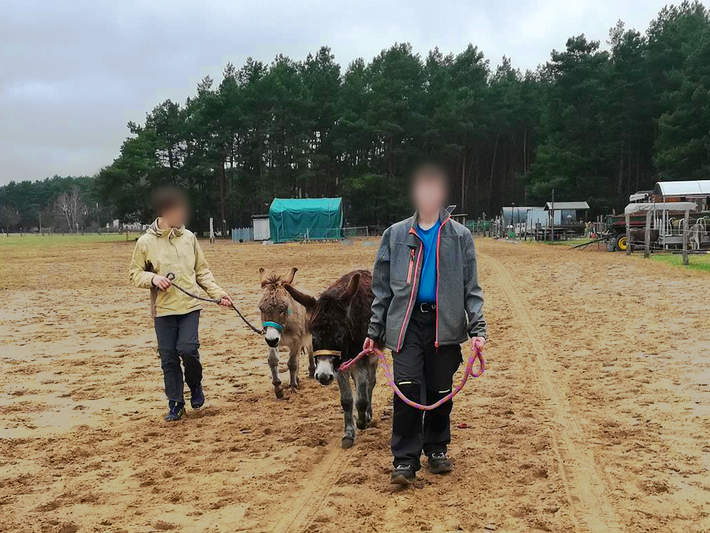 Tagespraktikum mit Eselwanderung beim Eselfreunde im Havelland e. V. in Paaren - Brandenburg Tagespraktikum beim Eselfreunde im Havelland e. V. in Paaren - Brandenburg