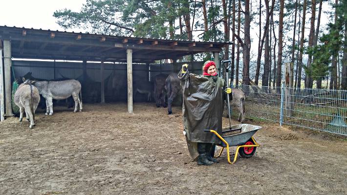 Praktikum beim Eselfreunde im Havelland e. V. in Brandenburg Praktikum beim Eselfreunde im Havelland e. V. in Brandenburg