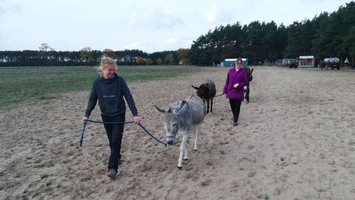 Lea und Thea, Freiwilliges Ökologisches Jahr beim Eselfreunde im Havelland e. V., Brandenburg - Eselwanderung Freiwilliges Ökologisches Jahr beim Eselfreunde im Havelland e. V., Brandenburg - Eselwanderung