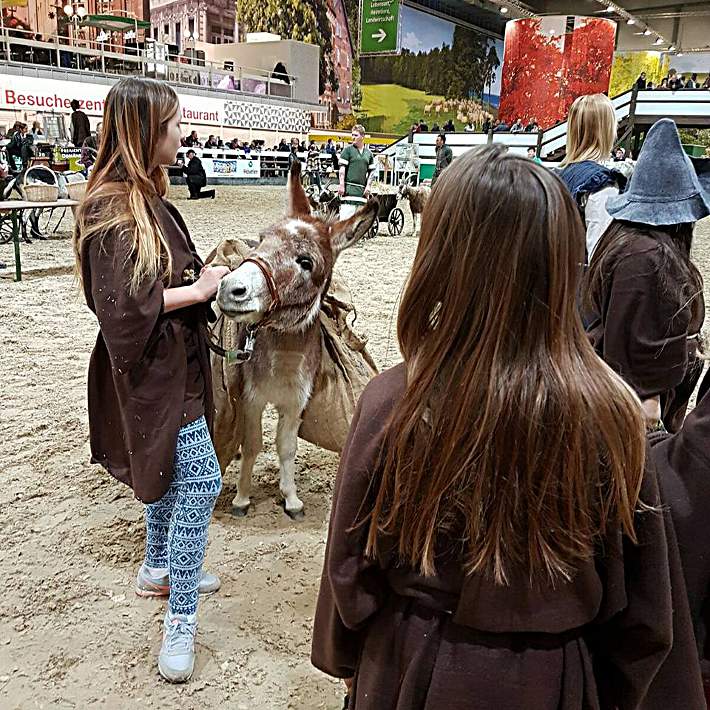 Eselfreunde im Havelland e. V. aus Brandenburg auf der Grünen Woche Eselfreunde im Havelland e. V. aus Brandenburg auf der Grünen Woche
