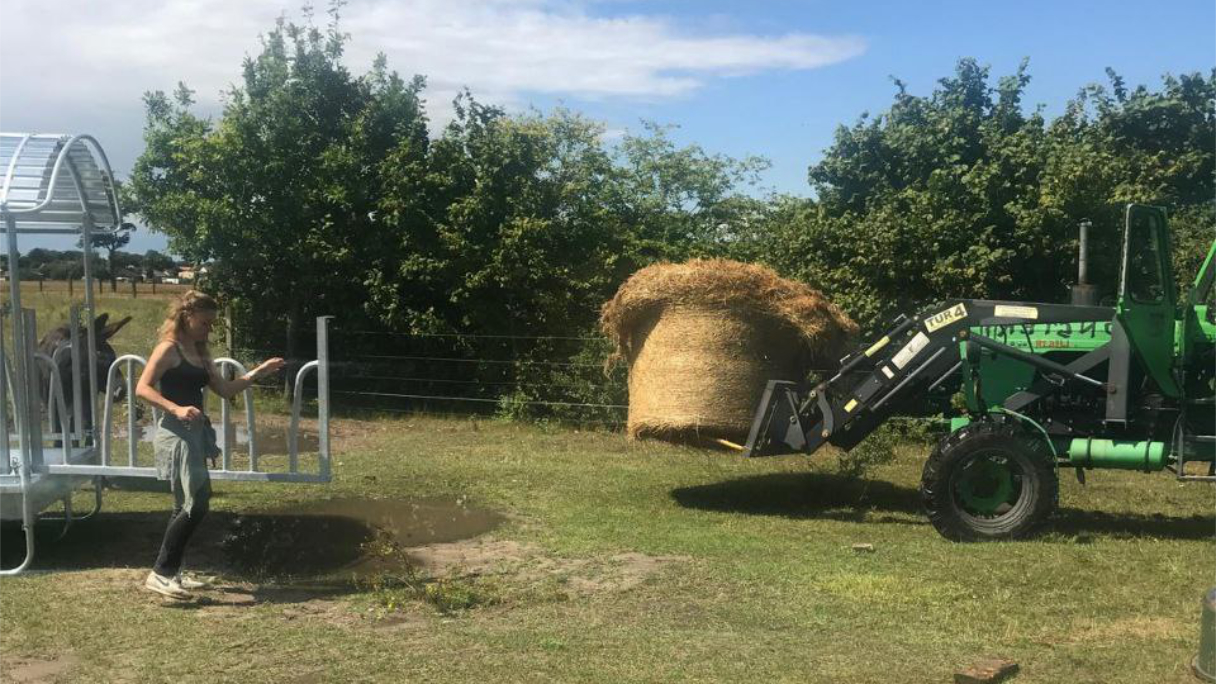 Sparkasse Eselfreunde 2024 01