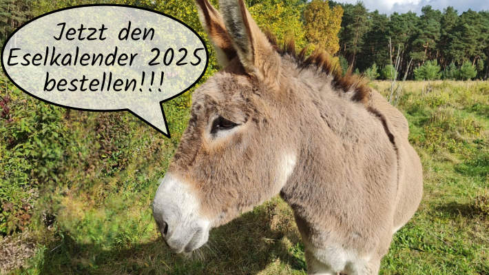 Eselfreunde im Havelland, Brandenburg, Eselkalender 2025