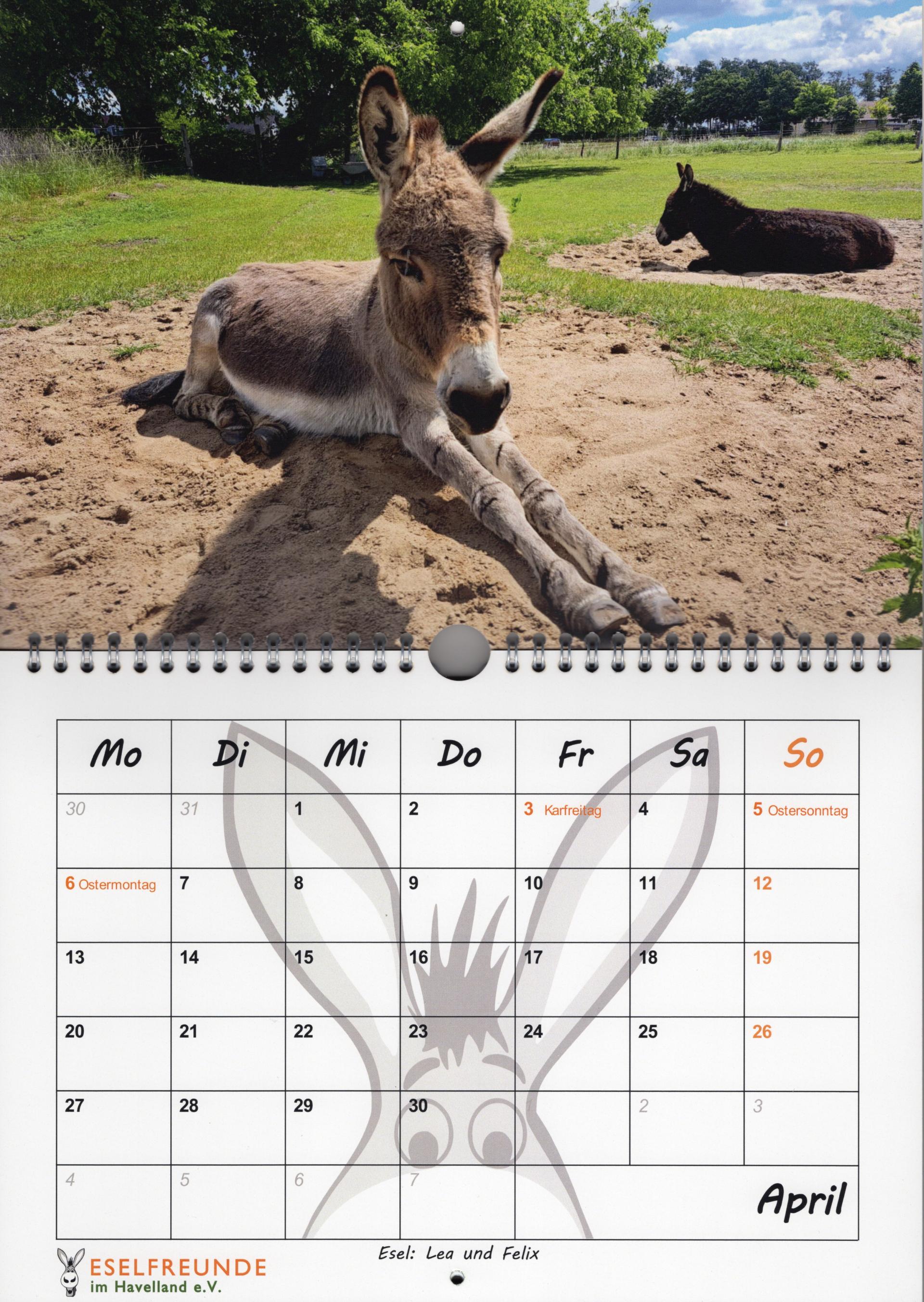 Esel Kalender 2026 Beispielmonat 1920px