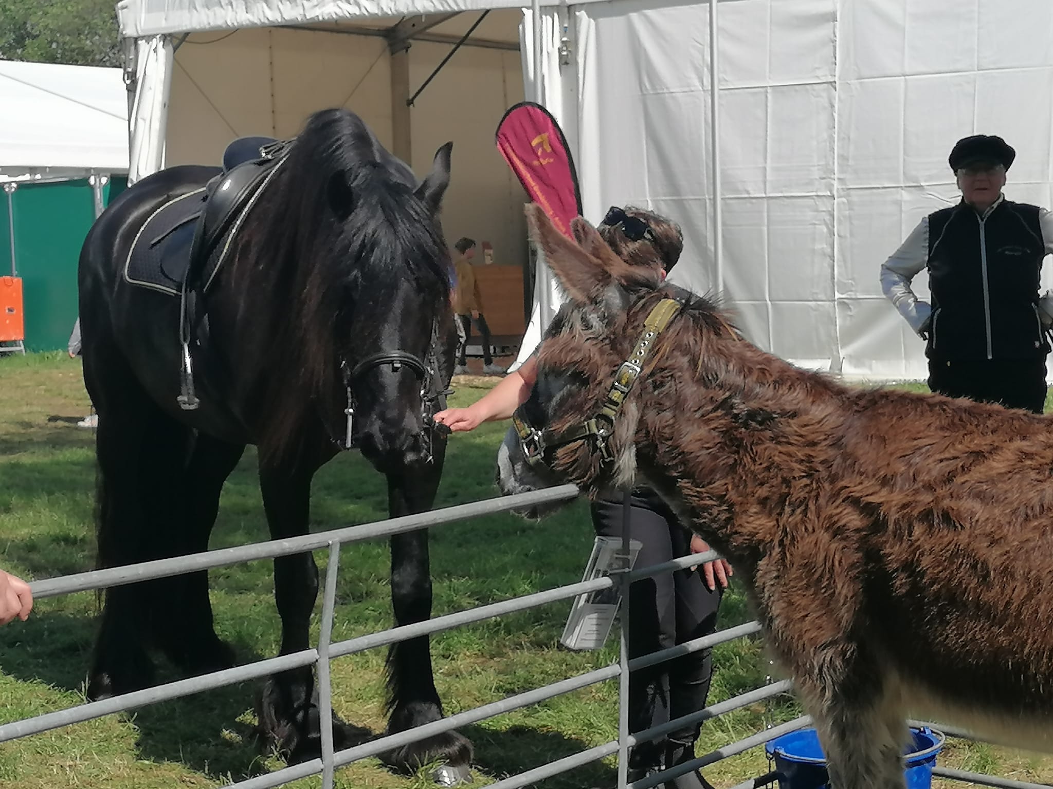 441362130 821998556620212 3347577138803546350 n