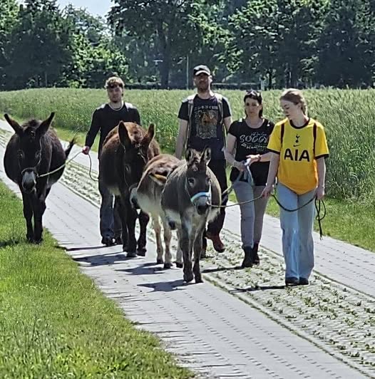 445076905 835228885297179 2081087342400893706 n