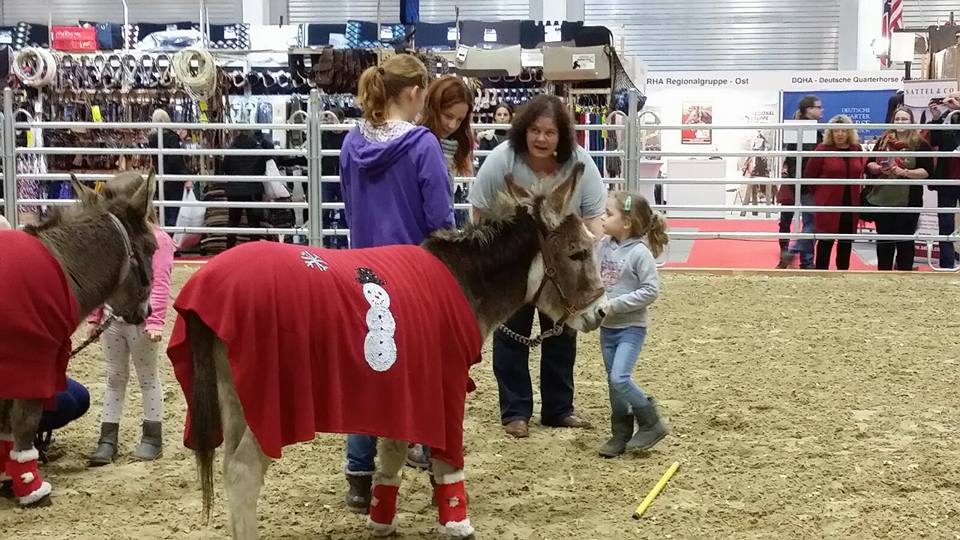 Kinder machen ihren Eselführerschein unter Anleitung von Christine Möller auf der Hippologica 2016