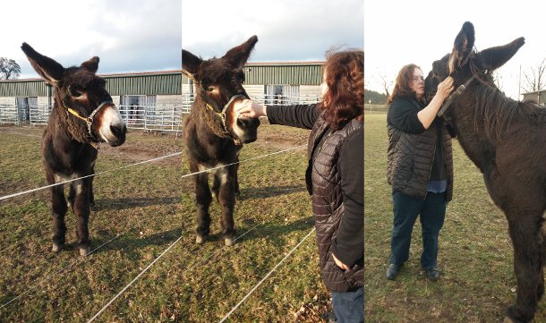 Christine Möller schmust mir einem der Esel auf der Wiese.