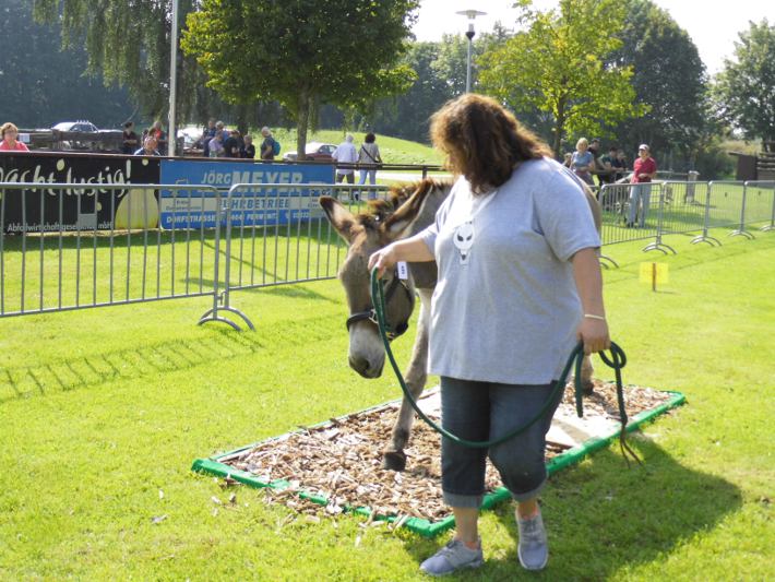 Esel Sandor und Christine Möller überqueren 