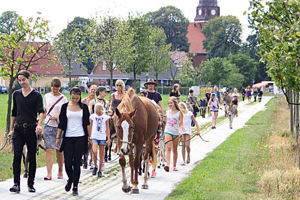 Umzug auf die Sommerkoppel03