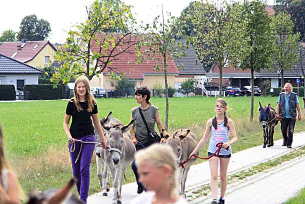 Umzug auf die Sommerkoppel04